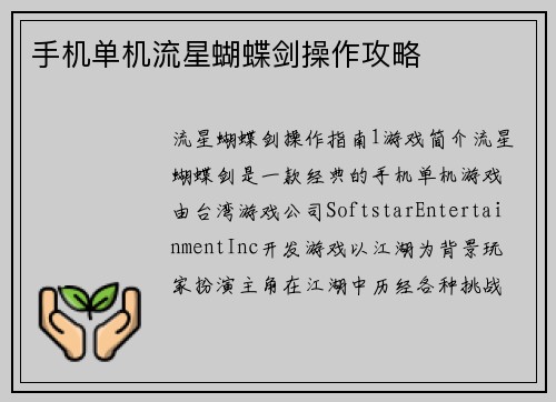 手机单机流星蝴蝶剑操作攻略